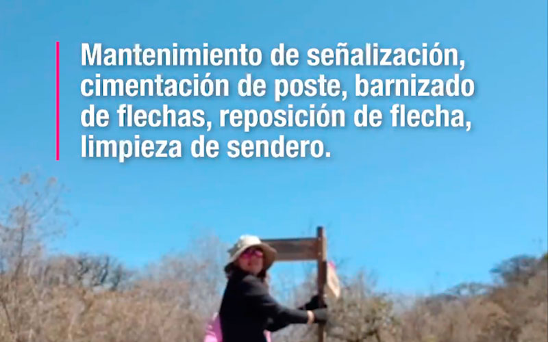 banner_video_raquet